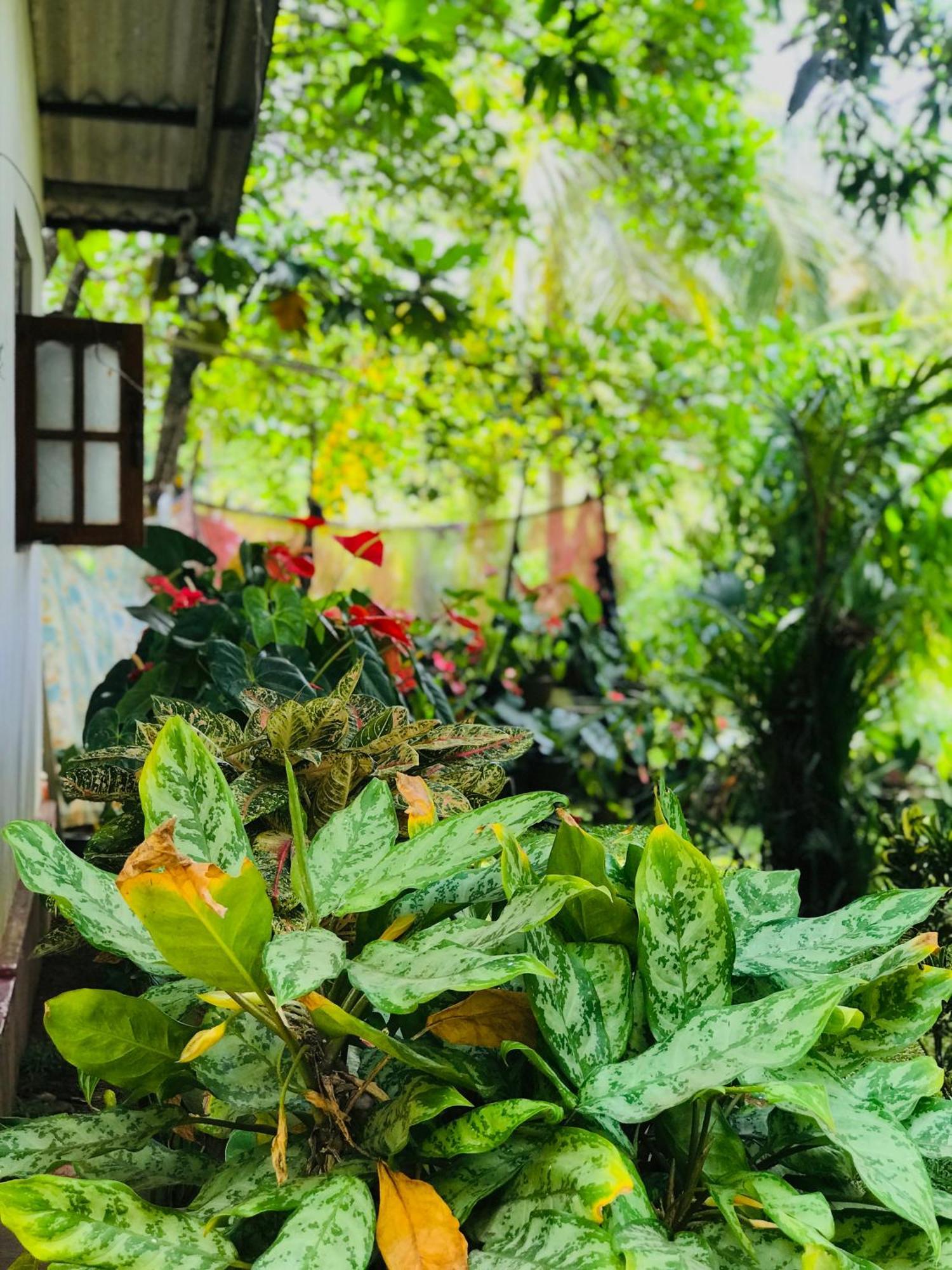 Sigiri Lakshan Home Stay Sigiriya Exterior photo